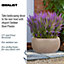IDEALIST Mesh Style Taupe Bowl Planter Outdoor Plant Pot D43 H21.5 cm, 31L