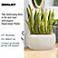 IDEALIST Mesh Style White Bowl Planter Outdoor Plant Pot D43 H21.5 cm, 31L