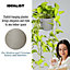 IDEALIST Plaited Style Beige Planter Table, Round Indoor Plant Pot Also Can Be Used as Hanging Planter D18 H18 cm, 4.6L