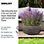 IDEALIST Ribbed Black Light Concrete Garden Bowl Planter, Outdoor Plant Pot D44 H18 cm, 27L
