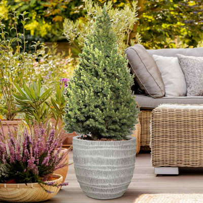 IDEALIST Straw Plaited Style White Washed Egg Garden Round Planter, Outdoor Plant Pot D43.5 H40 cm, 48L