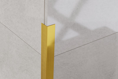 ILCOM decorative profile L 20mm x 2700mm x 0.6mm Gold Brushed Stainless Steel