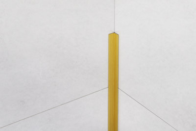 ILCOM decorative profile Li 10mm x 2440mm x 0.6mm Gold Brushed Stainless Steel