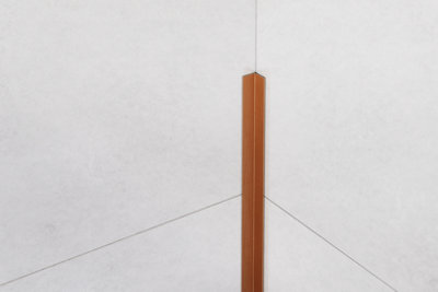 ILCOM decorative profile Li 10mm x 2700mm x 0.6mm Copper Brushed Stainless Steel