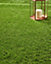 Impero Miami Artificial Grass - 2m x 4m (8m²)