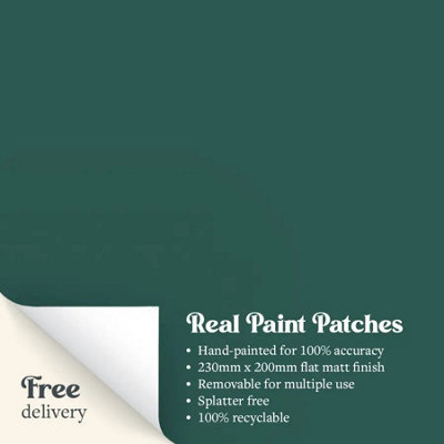 In the Canopy Paint Patch Flat Matt Sample