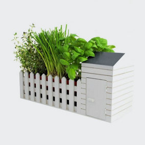 Indoor Allotment Grow Your Own Herbs Gift Set
