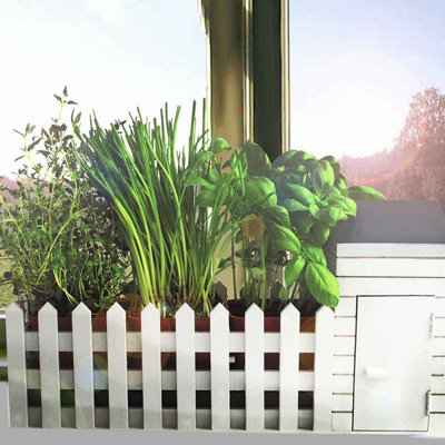 Indoor Allotment Grow Your Own Herbs Gift Set