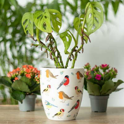 Indoor Ceramic Bird Print Plant Pot (H13 x W11 cm)