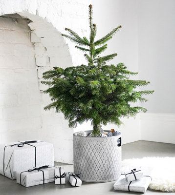 Indoor Christmas Tree Bucket - Galvanized Steel - L23 x W23 x H23 cm - Zinc - 5