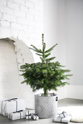 Indoor Christmas Tree Bucket - Galvanized Steel - L28 x W28 x H28 cm - Zinc - 4