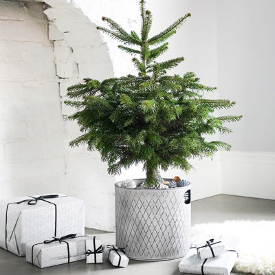 Indoor Christmas Tree Bucket - Galvanized Steel - L28 x W28 x H28 cm - Zinc - 5