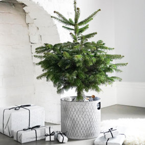 Indoor Christmas Tree Bucket Zinc H23Cm W23Cm