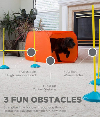 Indoor best sale agility training