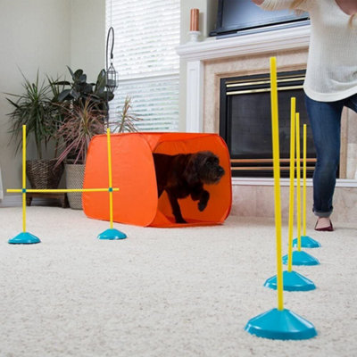 Indoor agility hot sale training