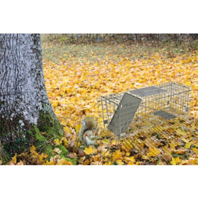 Indoor Outdoor Collapsible Live Animal Humane Trap for  Pests Rabbits, Squirrels