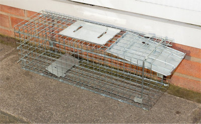 Indoor Outdoor Collapsible Live Animal Humane Trap for Pests Rabbits ...