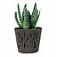 Indoor Plant Pots with Insert Plastic Flowerpot Small Large Grey 26cm