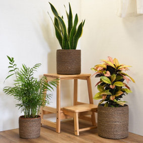 Indoor Planter Basket Natural Chia Seagrass Set of Three 25cm, 22cm & 17cm Diameter Garden Gear
