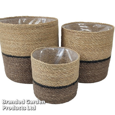 Indoor Planter Basket Natural Navy Seagrass Set of Three 25cm, 22cm & 17cm Diameter Garden Gear