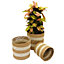 Indoor Planter Basket Natural Seagrass & Jute White Stripe Set of Three 25cm, 22cm & 17cm Diameter Garden Gear