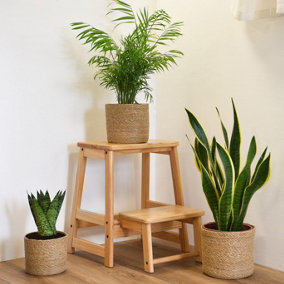Indoor Planter Basket Natural Seagrass Set of Three 20cm, 18cm & 16cm Diameter Garden Gear