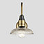 Industville Swan Neck Glass Dome Wall Light, 8 Inch, Brass