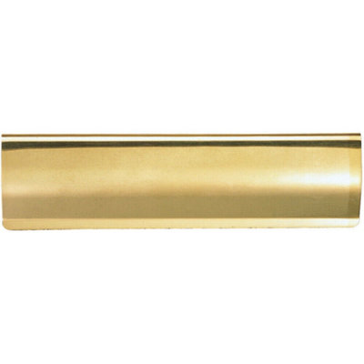 Interior Letterbox Plate Tidy Cover Flap 300 x 95mm Polished Brass