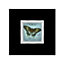 Interiors by Premier Butterfly 2 Framed Wall Art