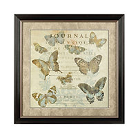 Interiors by Premier Framed Butterfly 1 Wall Art