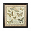 Interiors by Premier Framed Butterfly 1 Wall Art