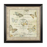 Interiors by Premier Framed Butterfly 2 Wall Art