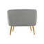 Interiors by Premier Grey Velvet Chair with Gold Finish Legs, Back & Armrest Dining Chair, Easy to Clean Armchair
