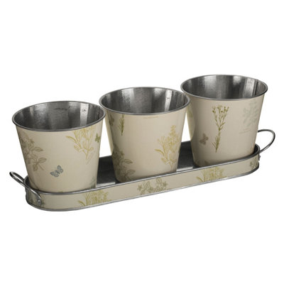 Interiors by Premier Jardin Pots on Oblong Tray - Set of 3