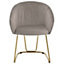 Interiors by Premier Mink Velvet Dinner Chair , Easy to Care Armrest Accent Dining Chair, Easily Adjustable Indoor Chair
