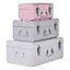 Interiors by Premier Parley Set Of Three Assorted Pink And Grey Storage Trunks