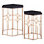 Interiors by Premier Set Of Two Lexa Side Tables