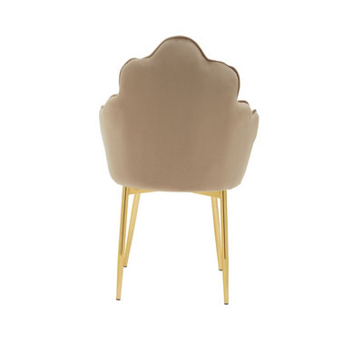 Interiors by Premier Tian Mink Velvet Chair