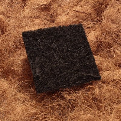 Interpet 3-Monats-Servicepaket Für CF2 Innenfilter - 3x Filterpatrone + 3x Algaway Pad