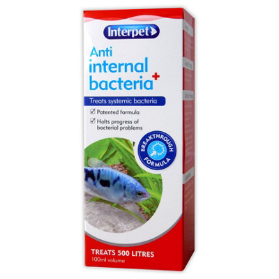 Interpet Anti Internal Bacteria Treatment 100ml Effective Solution for ...