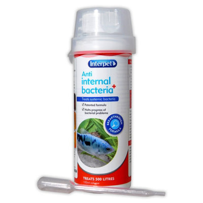Interpet Anti Internal Bacteria Treatment 100ml Effective Solution for ...
