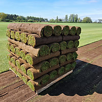 Inturf Classic Lawn Turf, 30m² Pack