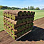 Inturf Classic Lawn Turf, 50m² Pack