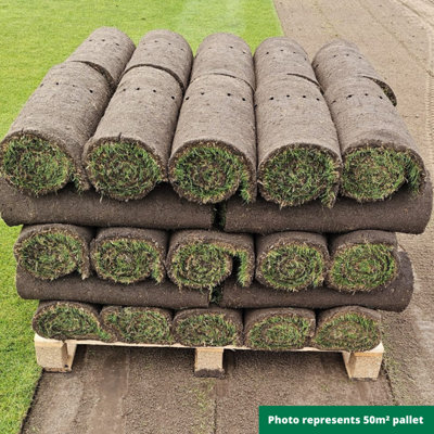 Inturf Classic Lawn Turf, 50m² Pack