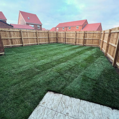 Inturf Classic Lawn Turf, 60m² Pack