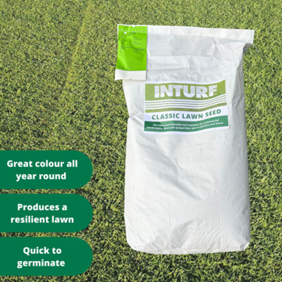 INTURF LAWN SEED 10KG BAG SUITABLE FOR HOME GARDENS AND SPORTS GROUNDS ...