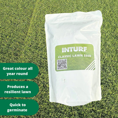 Inturf Lawn Seed 1KG bag suitable for home gardens and sports grounds ...