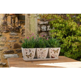 Iona Buchanan Insects Eco Pots Set of 3 with Tray - L12.5 x W38 x H13 cm