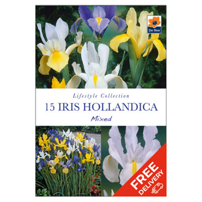 Iris Hollandica Mixed - Spring Flower Bulbs - 15 Bulbs | DIY at B&Q