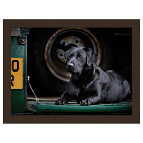 iStyle Bella the Black Lab Lap Tray Rural Roots